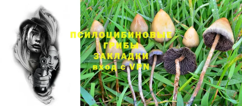 MEGA сайт  Барыш  Псилоцибиновые грибы Psilocybe 